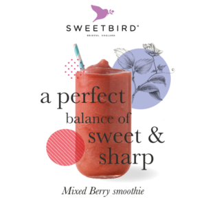 Glotnutis įvarių uogų Sweetbird “Mixed Berry Smoothie”, 1 l